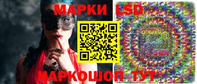 гидра Будённовск