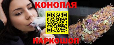 гидра Будённовск