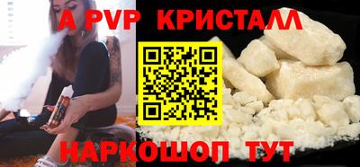 гидра Будённовск