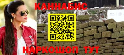 гидра Будённовск