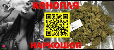 гидра Будённовск