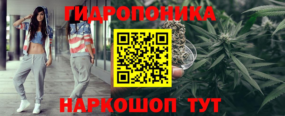 Каннабис конопля Моздок