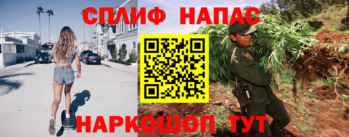Моздок  Бошки Шишки OG Kush  Марихуана семена  Вход с VPN  Конопля марихуана 